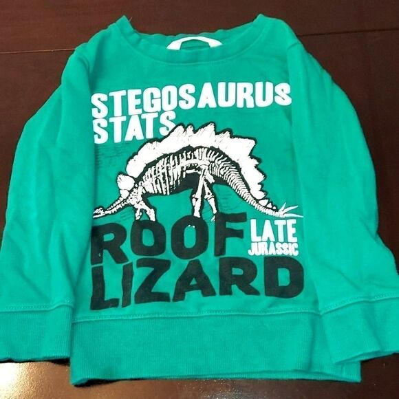 H&M Green Stegosaurus Graphic Sweatshirt 2-4yr - Picture 1 of 2